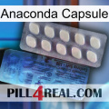 Anaconda Capsule 34